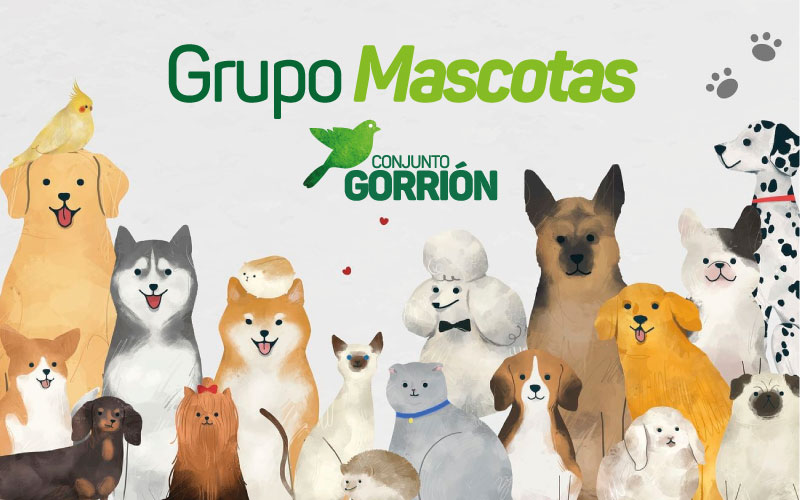 Mascotas Gorrión